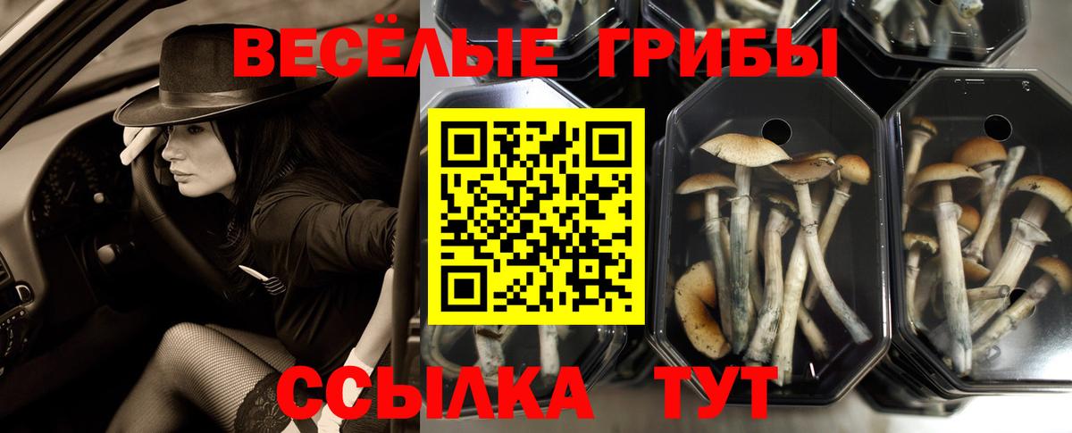 Галлюциногенные грибы ЛСД Менделеевск